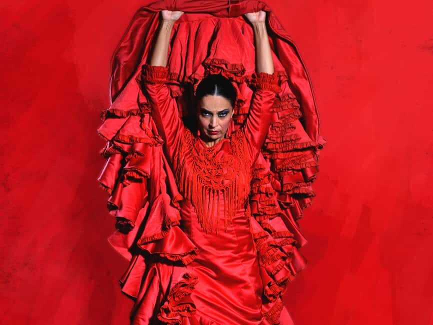 Barcelona: Flamenco Dance Class for Beginners at the Flamenco Theater - The Role of the Instructor