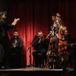 Barcelona: Flamenco Premium Show and Tour Guitar Museum - Why Choose This Tour?