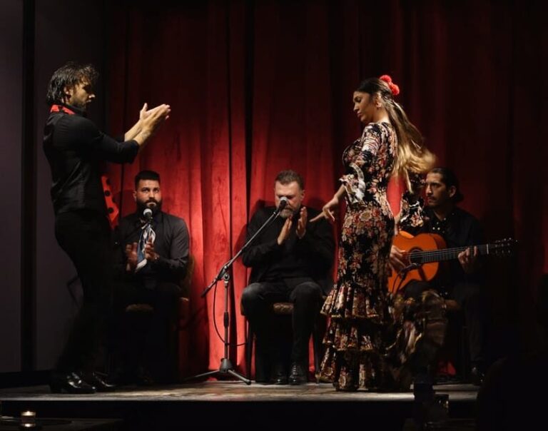 Barcelona: Flamenco Premium Show and Tour Guitar Museum - Why Choose This Tour?