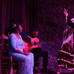 Barcelona: Flamenco Show at Palau Dalmases - An In-Depth Look at the Flamenco Experience