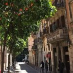 Barcelona Fun Wine Tasting with a Sommelier - Why This Tour Offers Great Value