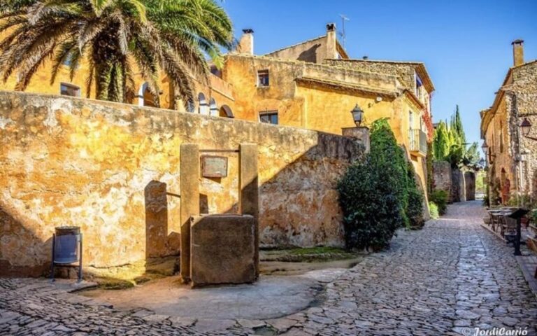 Barcelona: Girona Private Day Trip with Local Guide - Analyzing the Value and Experience