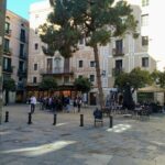 Barcelona Gothic Quarter Old Town Private Tour - Authentic Experiences and Real-World Insights