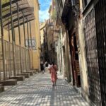 Barcelona: Guided City Tour by Local Transport - Detailed Breakdown of the Itinerary