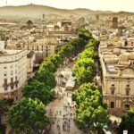 Barcelona Half-Day Sightseeing Private Tour - The Sum Up