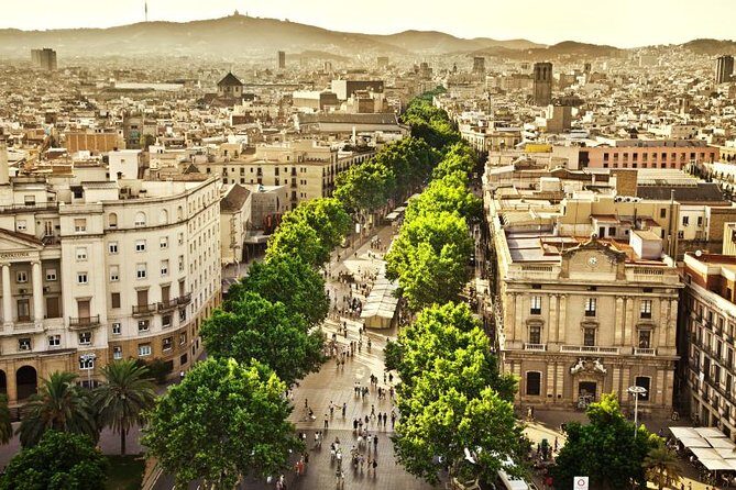 Barcelona Half-Day Sightseeing Private Tour - The Sum Up