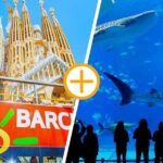 Barcelona Hop On Hop Off Bus Tour With Aquarium Admission - The Itinerary Breakdown: What to Expect at Each Stop