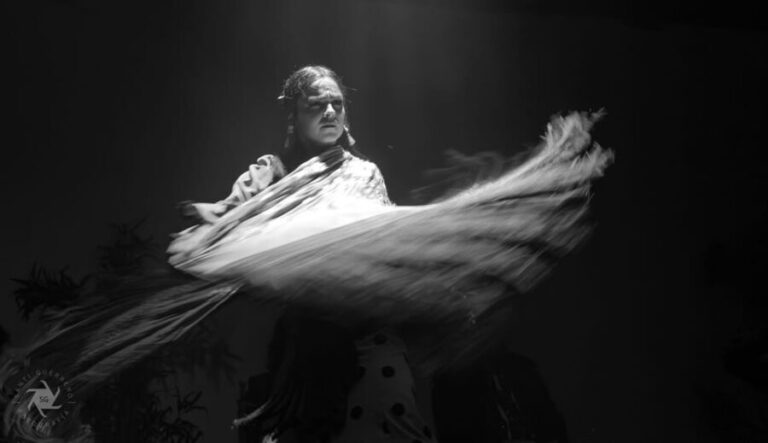 Barcelona: La Laietana Flamenco Show Ticket - What to Keep in Mind