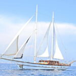 Barcelona: Mamma Mia Sailing Cruise - The Itinerary: Breaking Down the Day