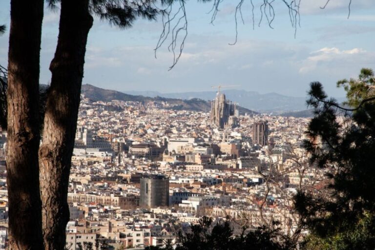 Barcelona: Montjuïc Walking Tour With Optional Flamenco Show - The Itinerary in Detail
