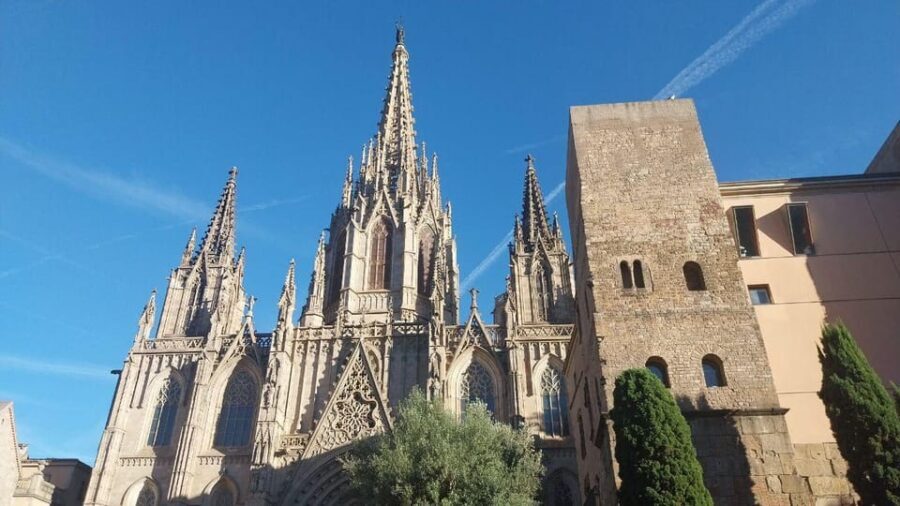 Barcelona: Old City Guided Walking Tour with a Local - Why Choose This Tour?