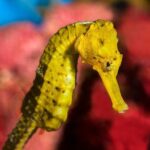 Barcelona Pass: Save up to 50% - Includes Sagrada Familia - Authentic Insights from Real Travelers