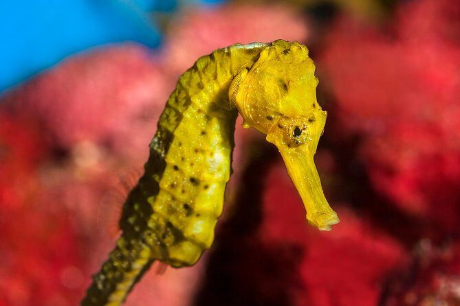 Barcelona Pass: Save up to 50% - Includes Sagrada Familia - Authentic Insights from Real Travelers