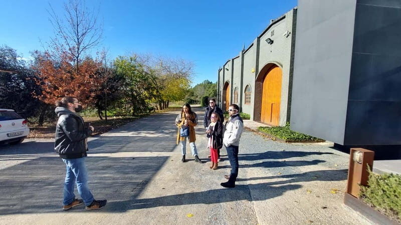 Barcelona: Penedes Wine Tasting Tour with Lunch - Key Points