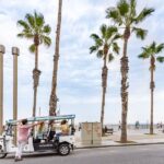 Barcelona: Private City Tour by Eco Tuk Tuk - Final Thoughts