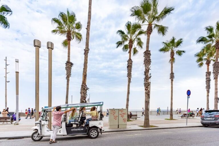 Barcelona: Private City Tour by Eco Tuk Tuk - Final Thoughts