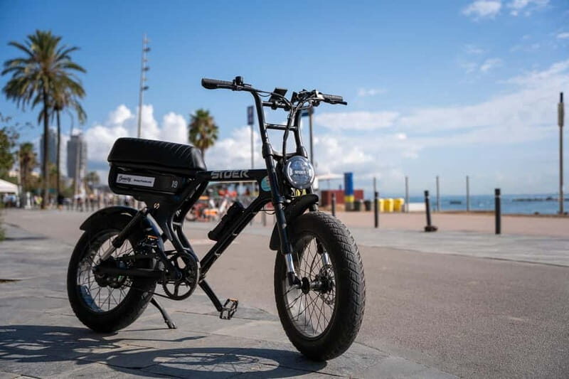 Barcelona: Private E-Fatbike Tour with Local Guide - Who Should Consider This Tour?