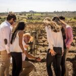 Barcelona: Sailing and Alella Winery Tour with Wine Tasting - A Close Look at the Experience