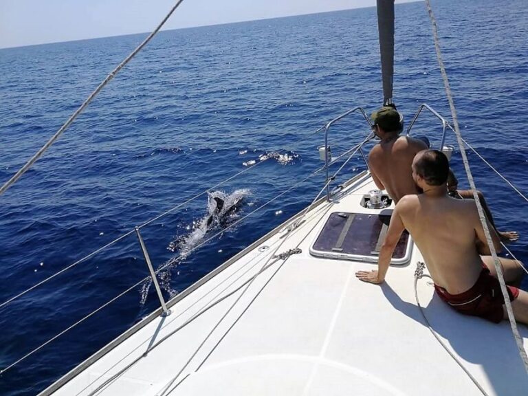 Barcelona: Sailing Trip with Drinks and Snacks - A Deep Dive Into the Experience