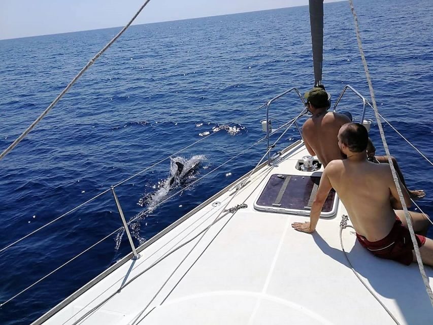 Barcelona: Sailing Trip with Drinks and Snacks - A Deep Dive Into the Experience