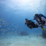 BARCELONA: SCUBA DIVING INITIATION - Dive in and experience underwater adventures - 2 hours - Who Would This Tour Suit Best?