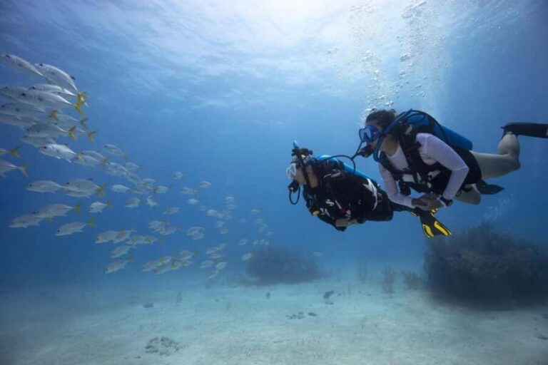BARCELONA: SCUBA DIVING INITIATION - Dive in and experience underwater adventures - 2 hours - Who Would This Tour Suit Best?
