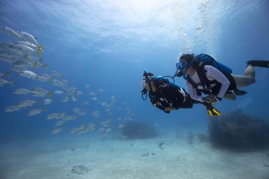 BARCELONA: SCUBA DIVING INITIATION - Dive in and experience underwater adventures - 2 hours - Who Would This Tour Suit Best?