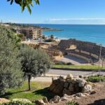 Barcelona: Tarragona & Sitges Guided Day Trip with Transfers - Practical Details and Value