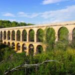 Barcelona: Tarragona Tour with Guide and optional Wine Tour - Who Will Love This Tour?