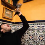 Barcelona: The Ultimate Local Tapas & Drinks Food Tour - Who Will Love This Tour?