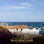 Barcelona: Tour Luxury Cadaqués & Lunch - Why Choose the Barcelona: Tour Luxury Cadaqués & Lunch?