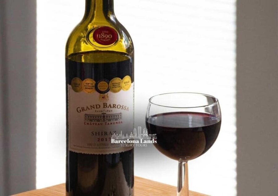 Barcelona: Tour Luxury for Priorat, Wine tasting & Lunch - What’s Included & What to Consider