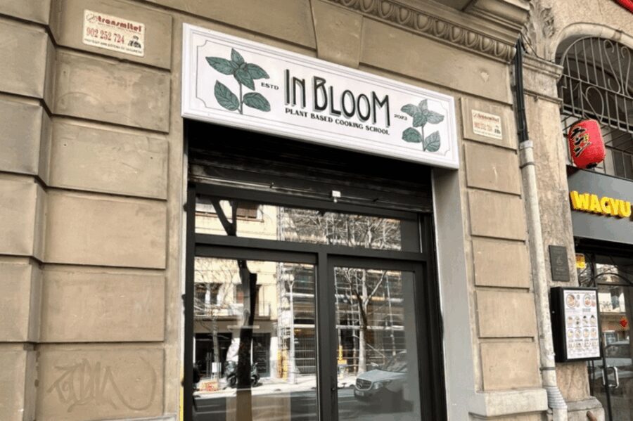 Barcelona: Vegan Paella and traditional rice dishes - What We Learned From the Reviews