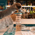Barcelona: Vermouth Tasting and Crafting Workshop - Why This Experience Works Well