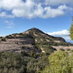 Barcelona walking tour through World Expos & Olympic Games - What You Get and What You Might Miss