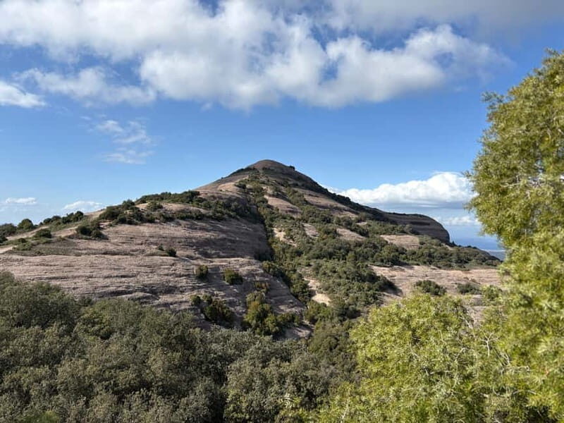 Barcelona walking tour through World Expos & Olympic Games - What You Get and What You Might Miss