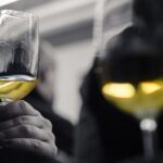 Barcelona Wine Tasting: Catalan and Spanish Wines - Who Will Love This Experience?