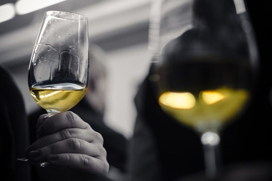 Barcelona Wine Tasting: Catalan and Spanish Wines - Who Will Love This Experience?