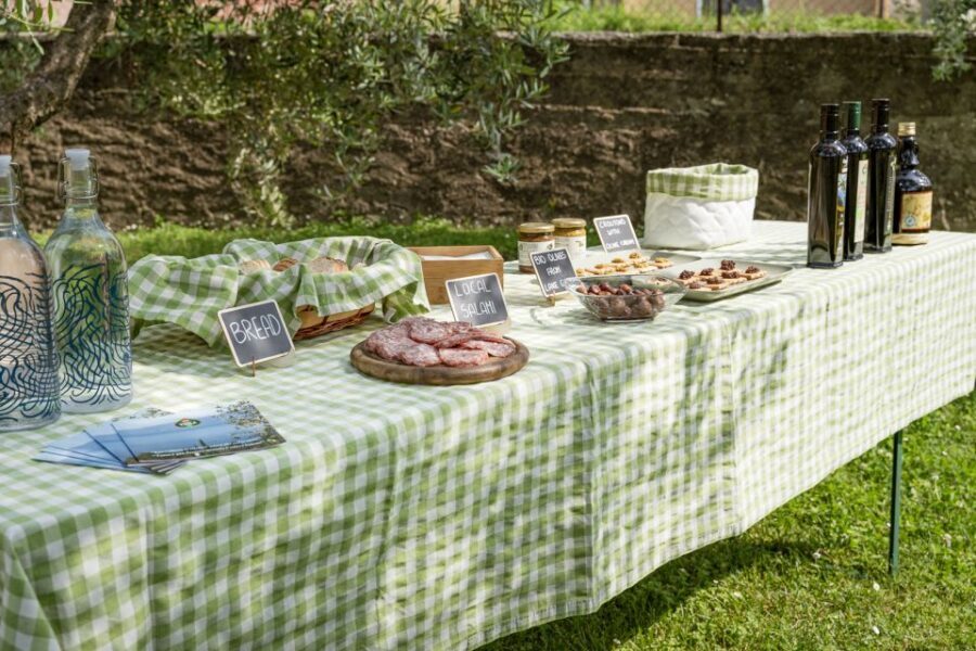 Bardolino: Lake Garda Oil Mill Tour with Olive Oil Tasting - The Itinerary: What to Expect