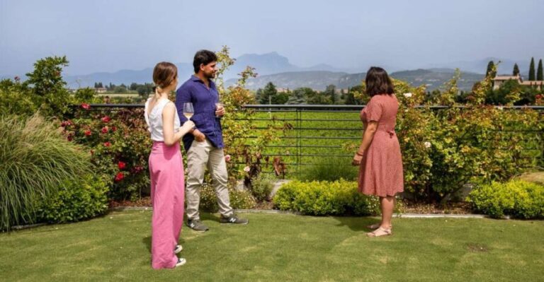 Bardolino: Vineyard Tour with Wine and Food Tasting - Guided Walk Through Vineyards and Cellars