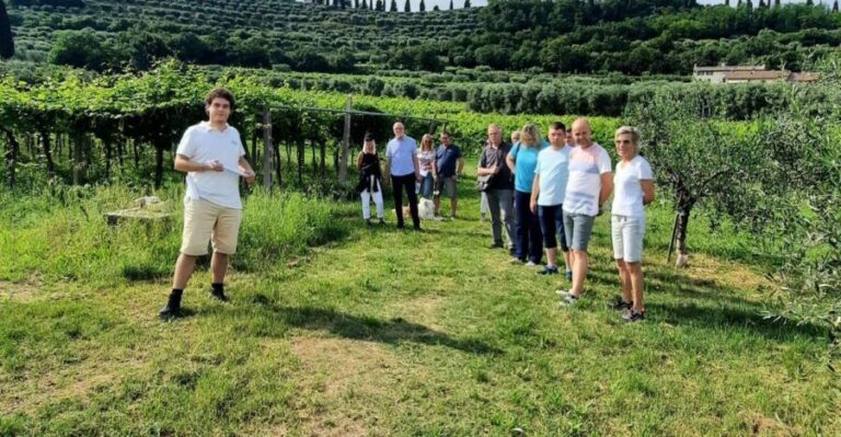 Bardolino: Vineyard Tour with Wine, Olive Oil & Food Tasting - Who Will Love This Experience?