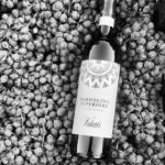 Bardolino: Wine tasting at Cantina Valetti - The Winery Tour: A Glimpse Behind the Scenes