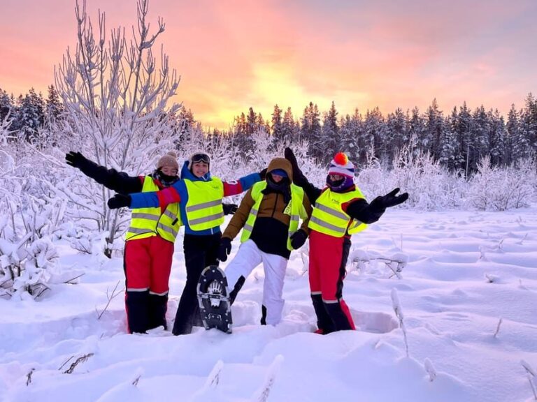 Bardufoss: Wild Moose Safari with Lunch - Who Should Consider This Tour?