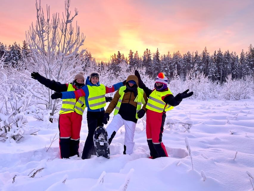 Bardufoss: Wild Moose Safari with Lunch - Who Should Consider This Tour?