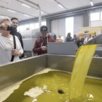 Barletta-Andria-Trani: oil mill tour and oil tasting - Is It Worth the Price?