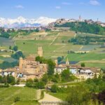 Barolo & Barbaresco Wine Tour with a Winemaker - First Stop: Barolo or La Morra