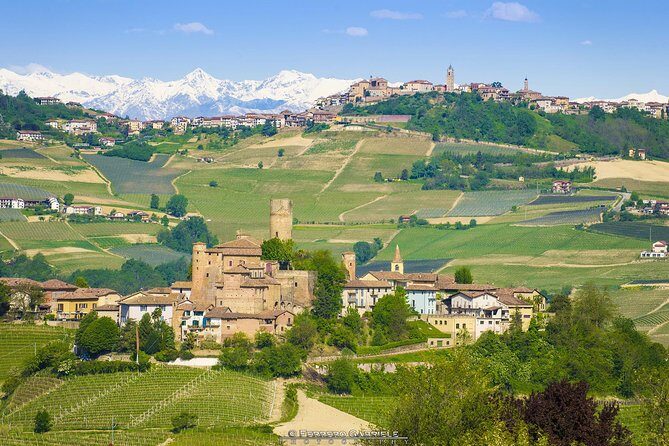 Barolo & Barbaresco Wine Tour with a Winemaker - First Stop: Barolo or La Morra