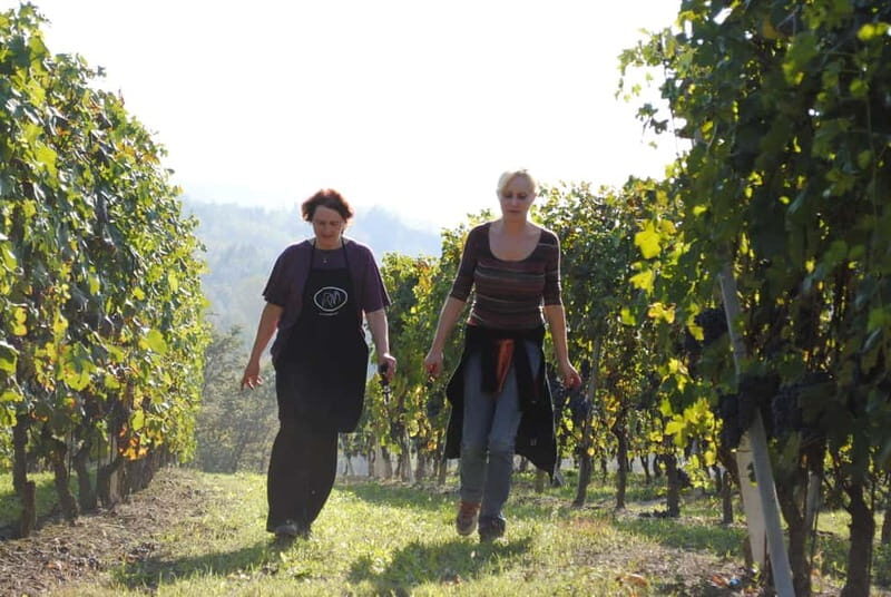 BAROLO: GUIDED VISIT TO THE WINERY AND TASTING WITH THE PRODUCER - Who Should Consider This Tour?