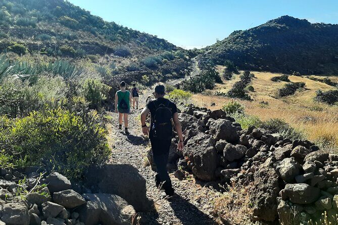 Barranco de las Vacas, caves & village by 2 native guides - Who Will Love This Tour?