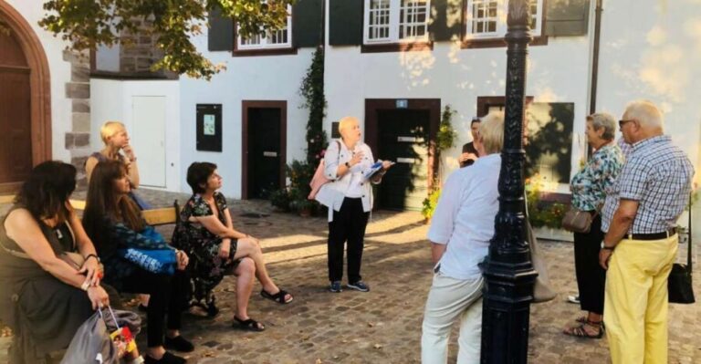 Basel: 1-Hour Group Walking Tour - Starting Point: The Tinguely Fountain